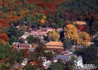 先有潭柘寺，后有北京城 北京最古老的庙宇不是潭柘寺，是火神庙
