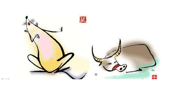 风水看属相老鼠和牛,一个口是心非,一个害怕孤独