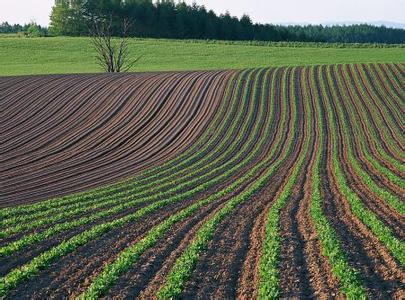 为什么艺术特长高考可加分，种地不可以