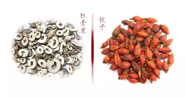 加味逍遥丸为何被称为妇科圣药？