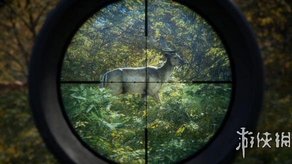 《猎人：野性的呼唤》全技能树+武器装备+战斗技巧图文攻略详解