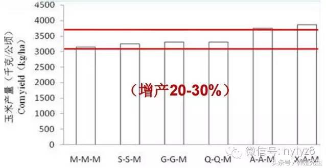 种牧草只会增加效益 为什么？