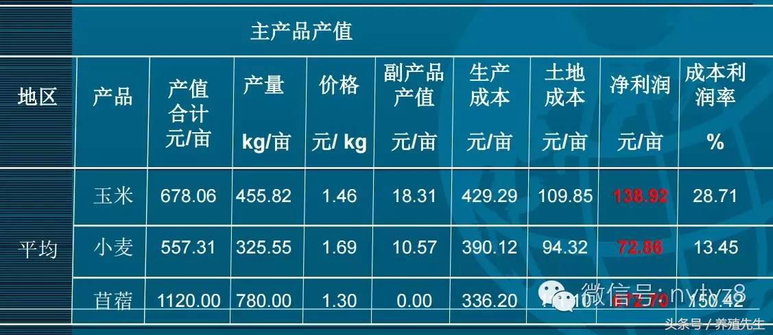 種牧草只會增加效益 為什么？