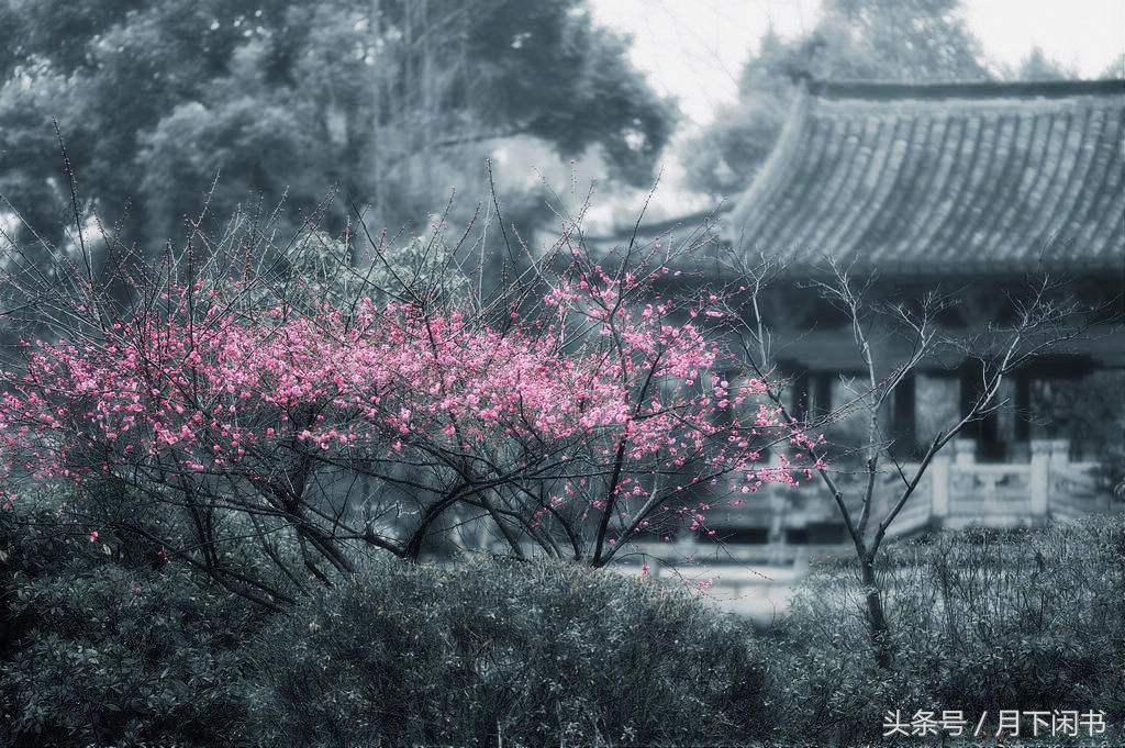 乍暖还寒时候最难将息赏析乍暖还寒春寒料峭