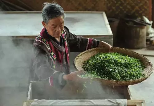 茶知识丨绿茶的种类有哪些你知道吗？