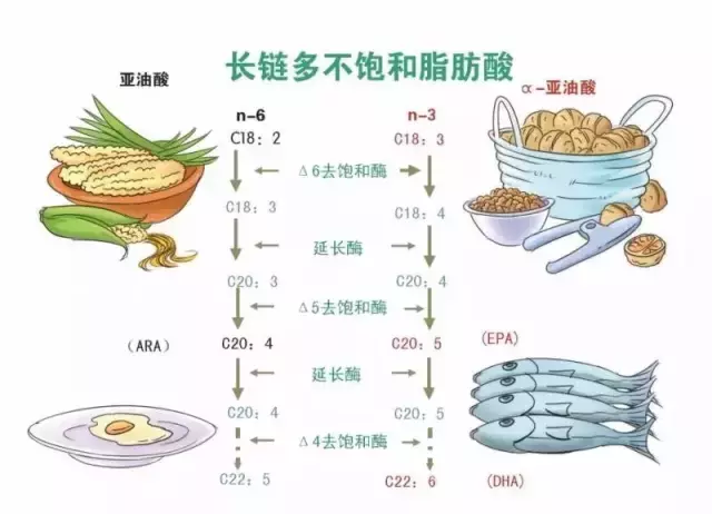 给宝宝补DHA、鱼油、鱼肝油、核桃油~补不对，真不如不补！