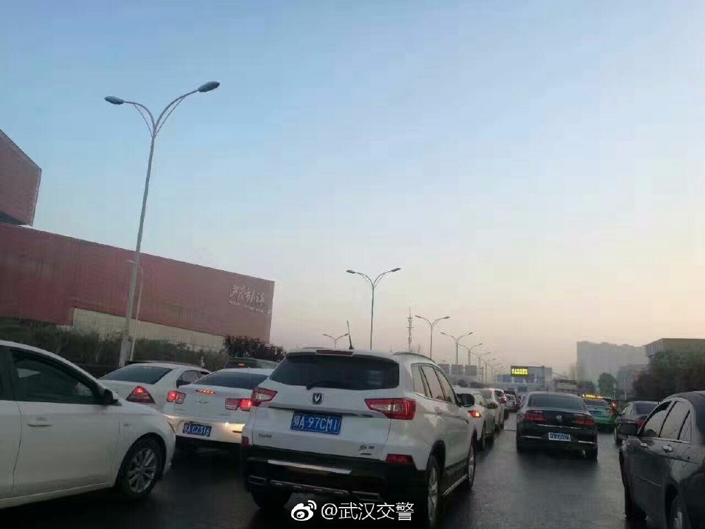 今天,武汉全城告急!火车站、地铁、马路都被堵爆了……