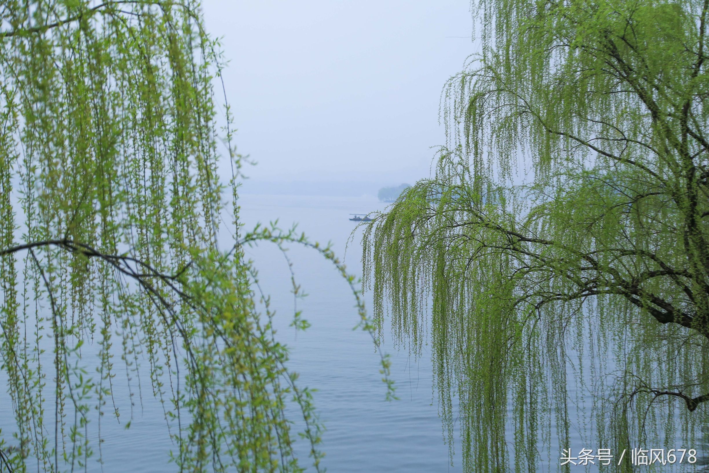 西湖美景三月天，烟雨楼台醉人心