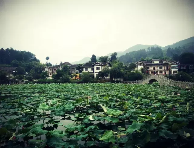 贵州这9个地方已美哭,值得你一去