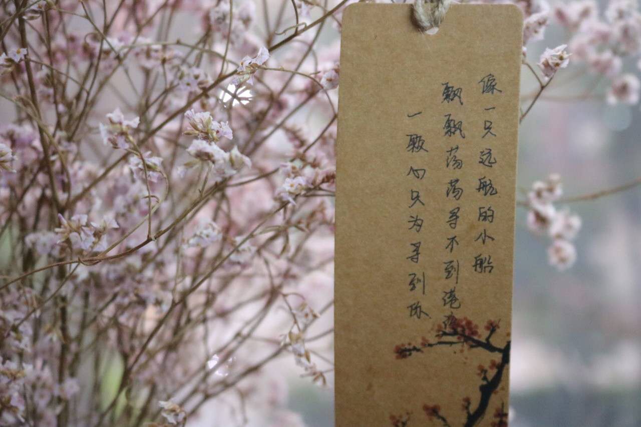 母校上头条43｜学生作品进馆藏三行情书交际舞接力跑不亦忙乎