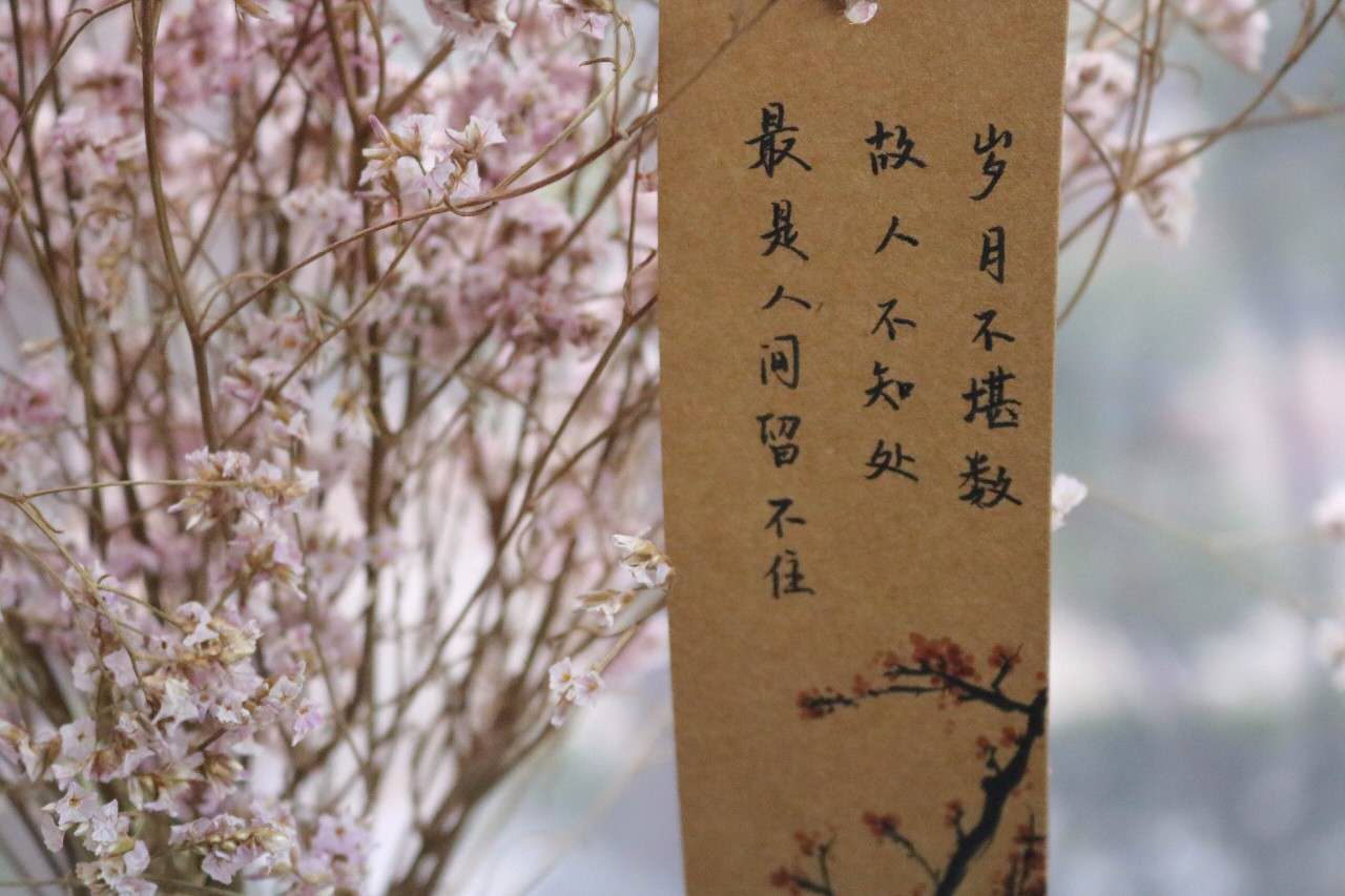 母校上头条43｜学生作品进馆藏三行情书交际舞接力跑不亦忙乎