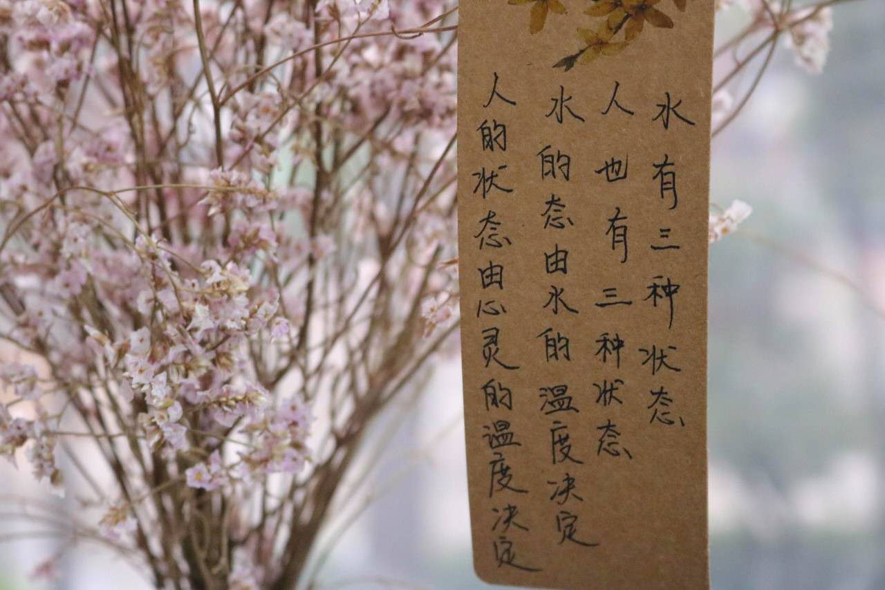 母校上头条43｜学生作品进馆藏三行情书交际舞接力跑不亦忙乎