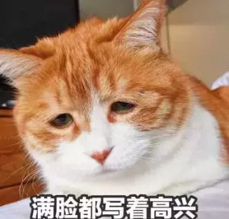 食堂一饭一菜皆是温柔，勺起勺落间，盛满人间烟火与青春的眷恋。