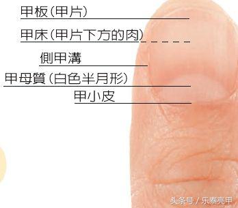 亮甲治疗灰指甲效果如何？为何疗程漫长难愈？