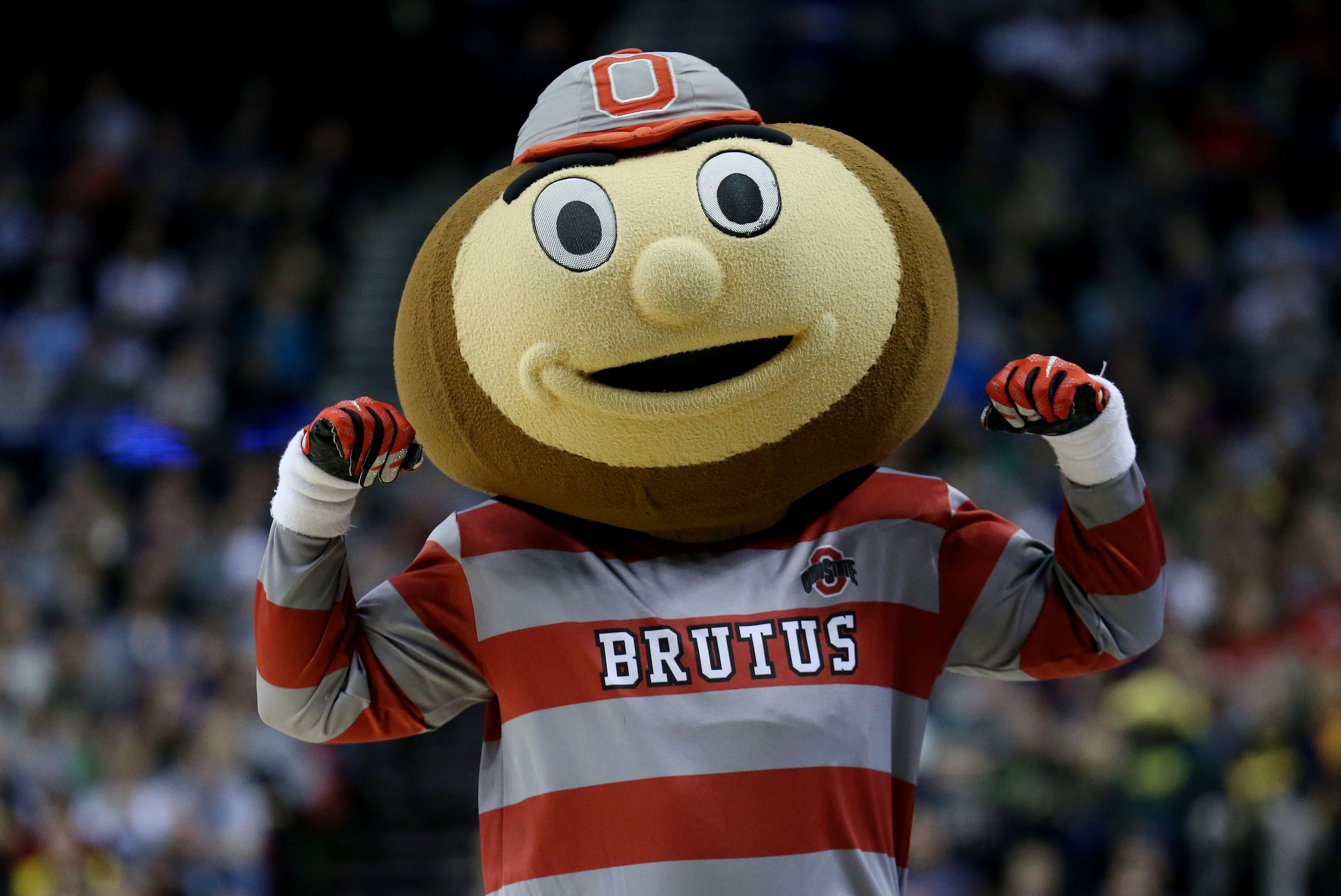 NCAA｜没落贵族俄亥俄州立大学七叶树队