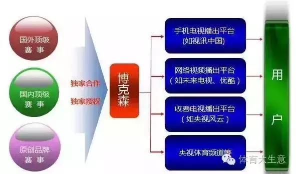 mnc和cba哪个好(搏击产业盈利探索新思路：赛事分级抢占多元市场)