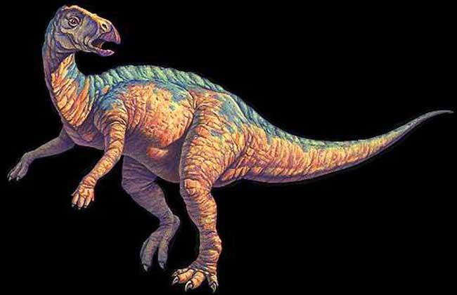 恐龙图片大全和名字(细数恐龙鲜为人知的秘密) - 赤虎壹号