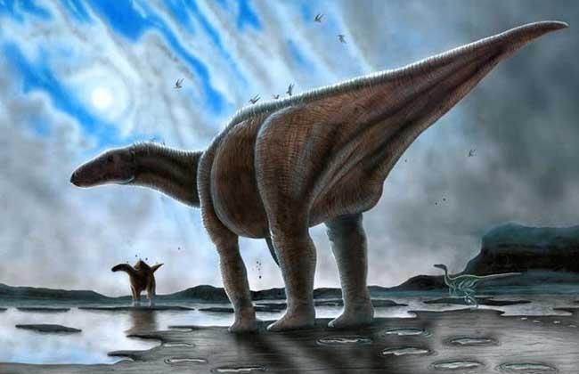 细数恐龙鲜为人知的秘密,话说你知道多少?