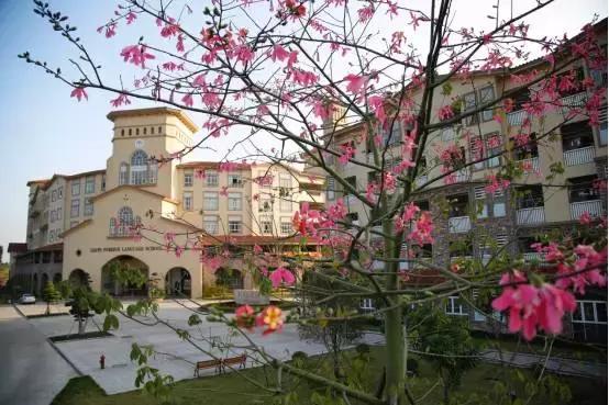 广外附设肇庆外校这所广外外校姊妹校，要忽略“肇庆”二字来看