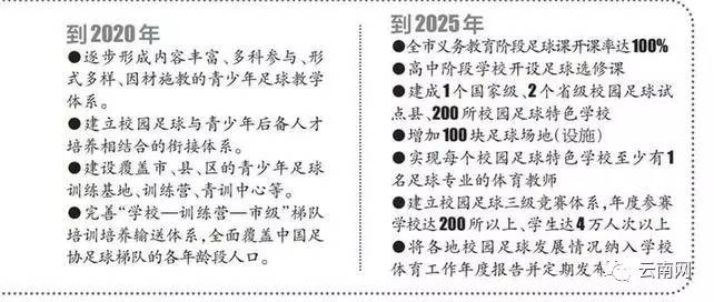 云南什么时候有中超球队(板扎！云南足球还会再回中超 2020年昆明将有自己的职业足球队)