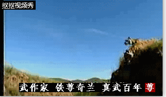 比太极拳八卦掌，（形）心意拳到底厉害在哪里（上篇）