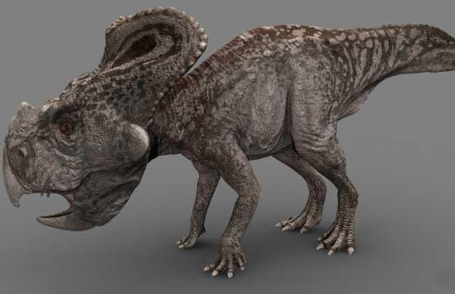 隙龙发现于20世纪20年代加拿大的艾伯塔省,意思是