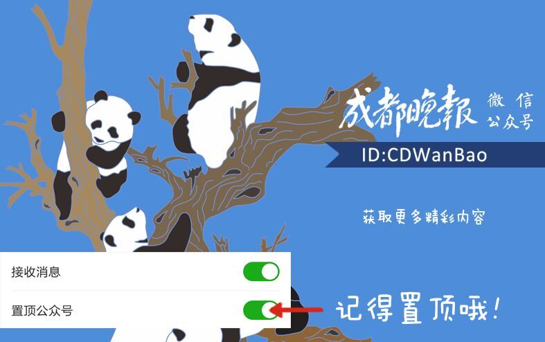 2017年高校艺体类录取文化成绩分数线确定，艺术类专业可“多类兼报”