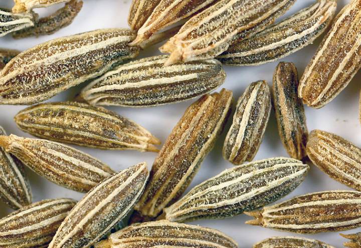 肉豆蔻,肉豆蔻外皮干,辣椒,芫荽(香菜)种子, 柠檬香茅(柠檬草),高良姜