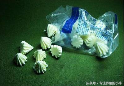 黃鱔寄生蟲,黃鱔寄生蟲多少度能殺死