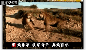 比太极拳八卦掌，（形）心意拳到底厉害在哪里（上篇）