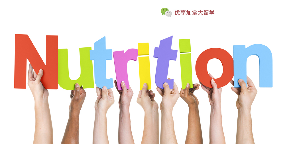 加拿大大学本科专业之营养学