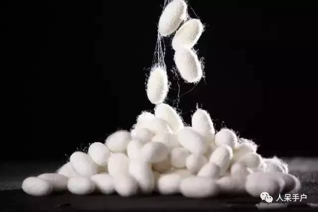蚕卵孵化是什么过程（蚕宝宝的正确饲养方法）