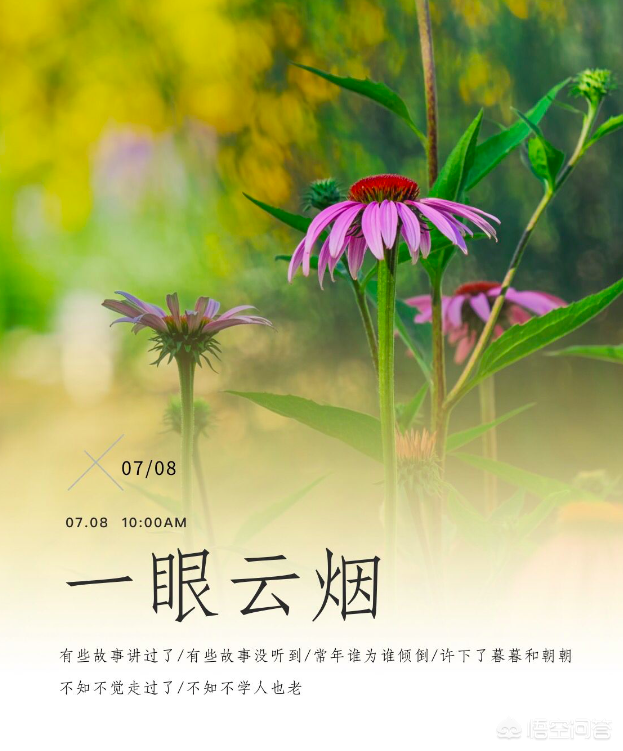3分钟轻松学会给手机照片添加高逼格、设计师级别的文字和日期
