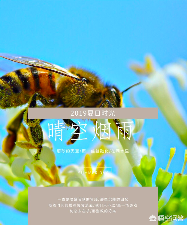 3分钟轻松学会给手机照片添加高逼格、设计师级别的文字和日期