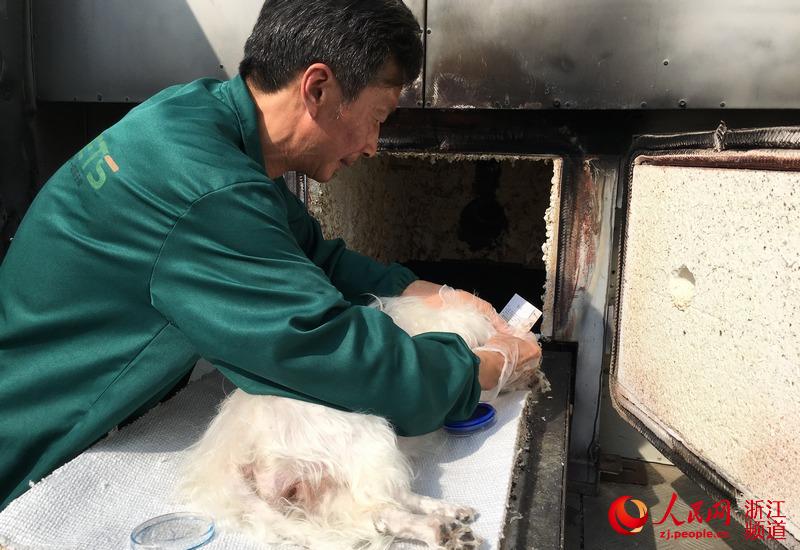 本网记者体验360行之「224」宠物“送别”师