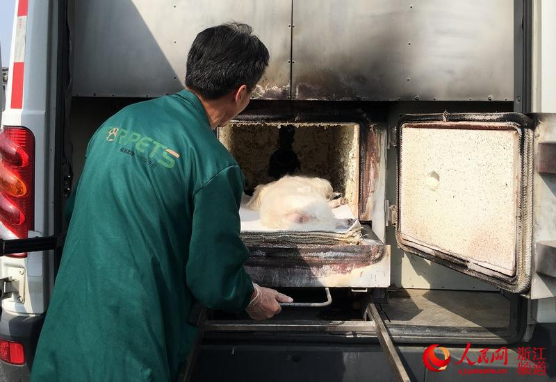 本网记者体验360行之「224」宠物“送别”师