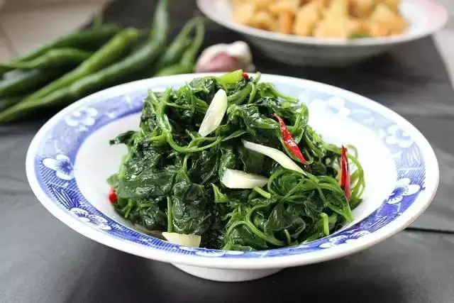 别小看农村房前屋后的灰灰菜,养生又美味!