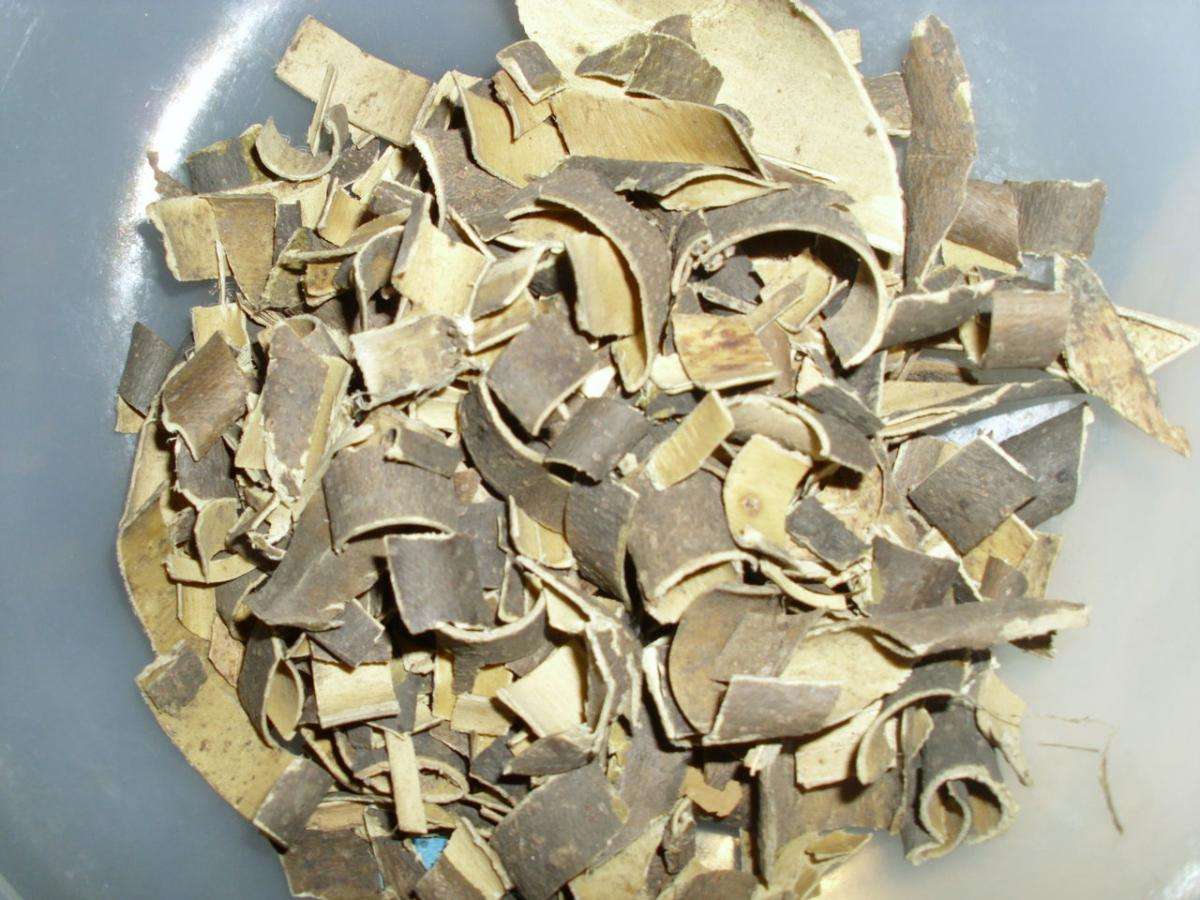 秦皮到底是什么的皮?它都有什么功效?