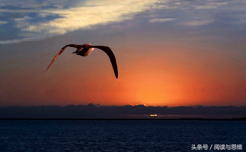 千古第一骈文，你被惊艳到了吗？
