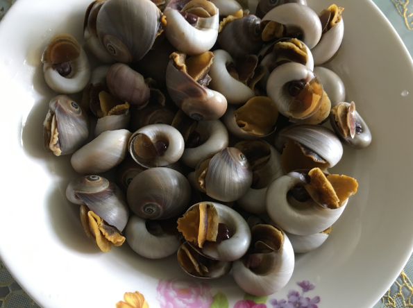 用火锅底料辣炒猫眼香螺,味道不一般