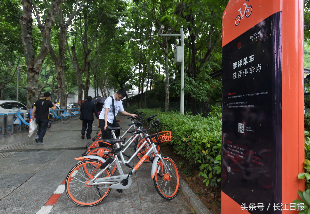 武汉女大学生做了啥事，让网友纷纷点赞？该被点赞的还有他们