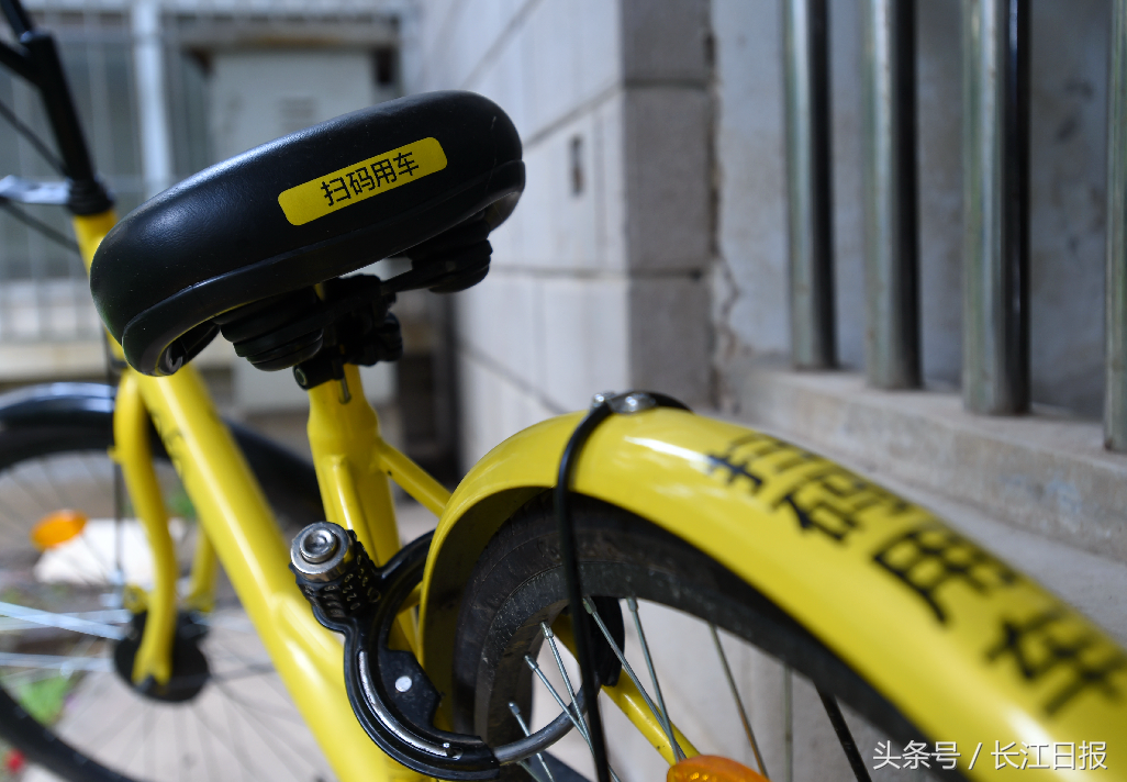 武汉女大学生做了啥事，让网友纷纷点赞？该被点赞的还有他们