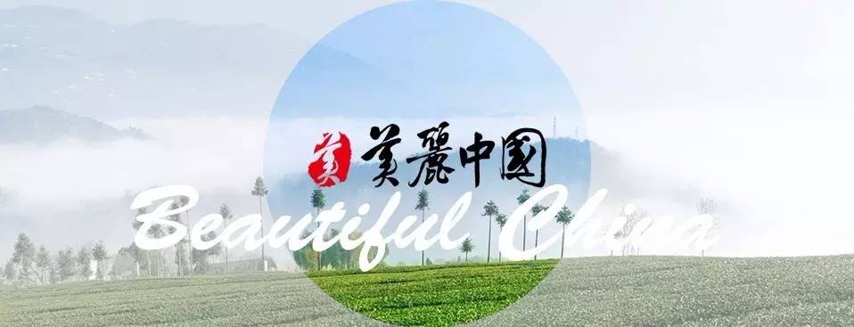 全城高考 剧照（全球电影那么多）