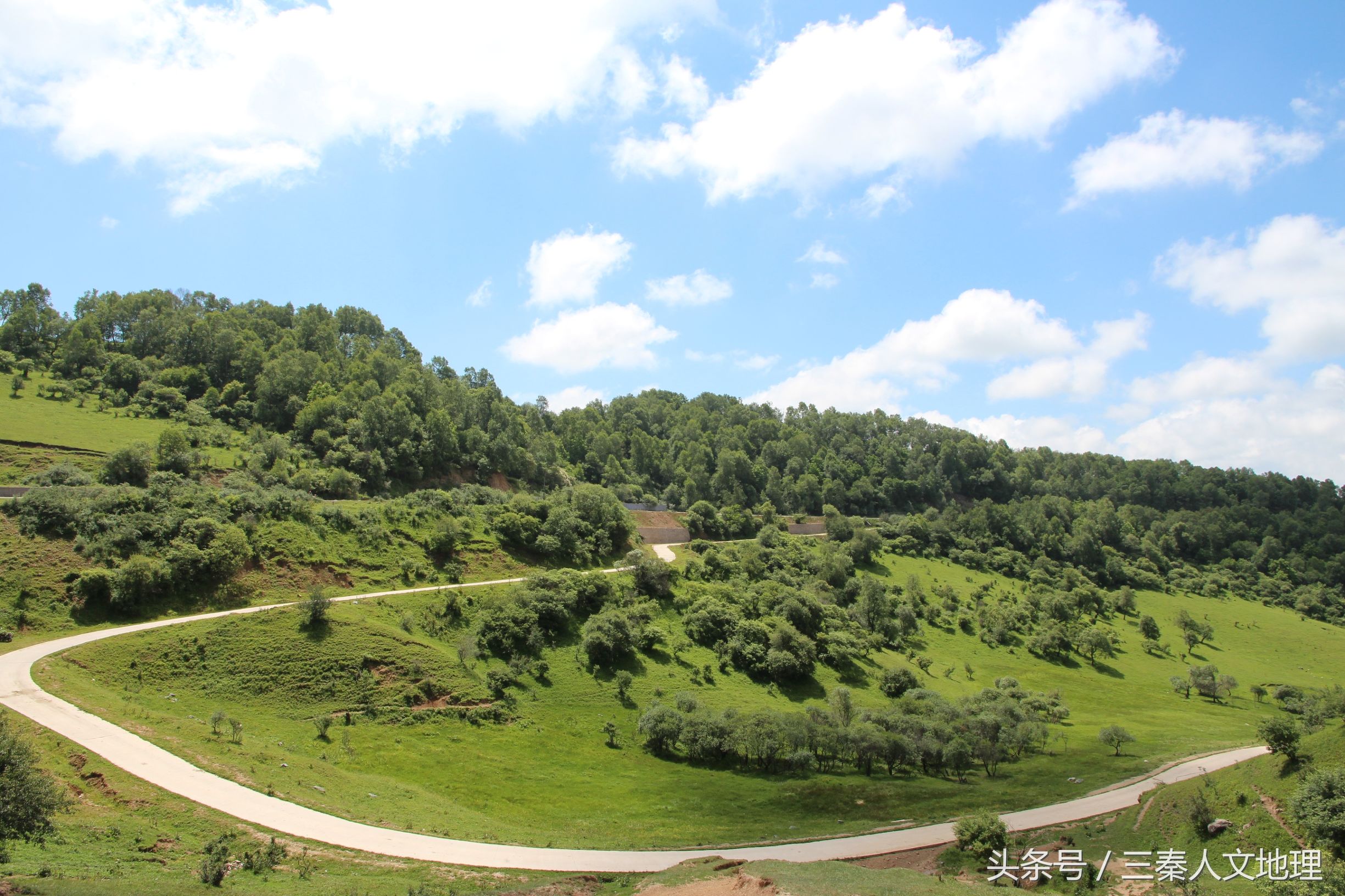 关山草原简介图片