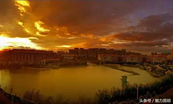 云南民族大学，再见！