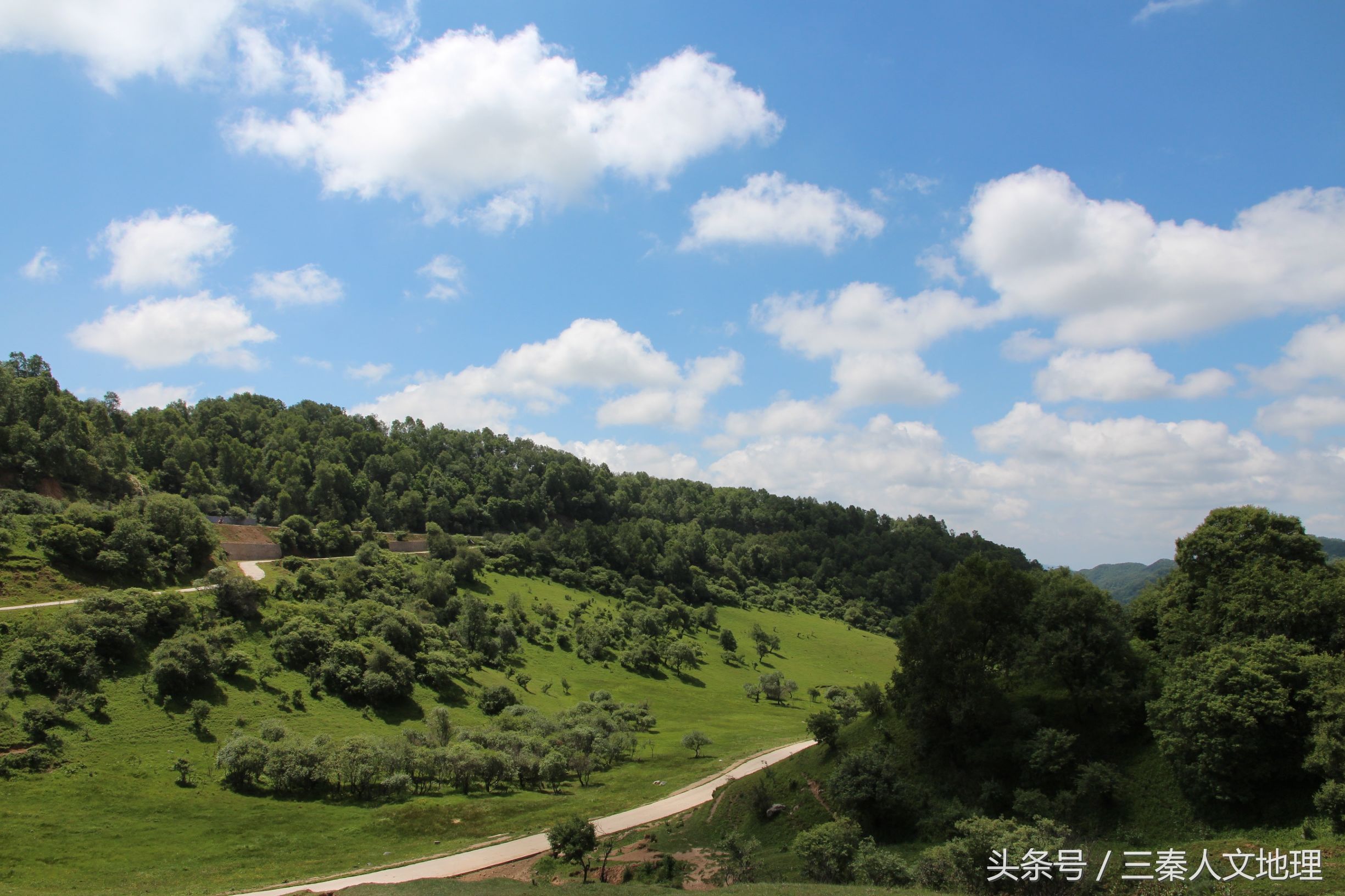 关山草原简介图片