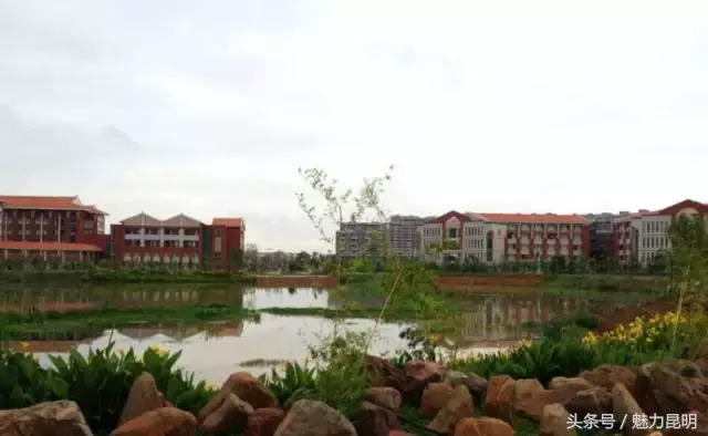 云南民族大学，再见！