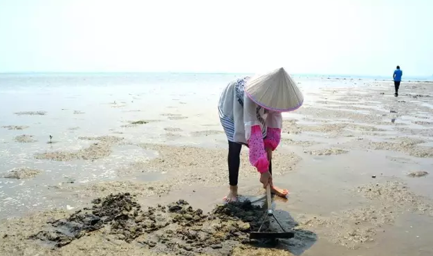 北海三面环海美丽半岛—沙尾村