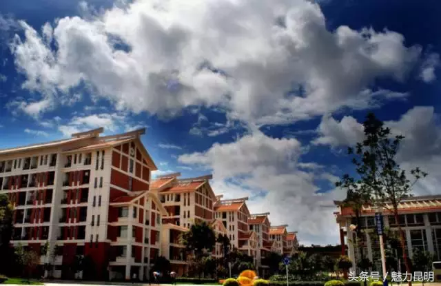 云南民族大学，再见！