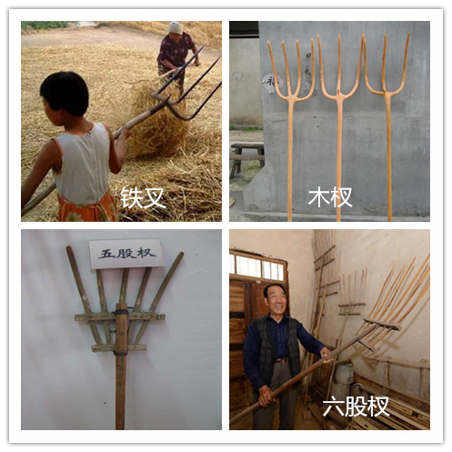 釤子竟是諸葛亮發(fā)明的！農(nóng)村收麥子的這9種老工具，你認識幾件？